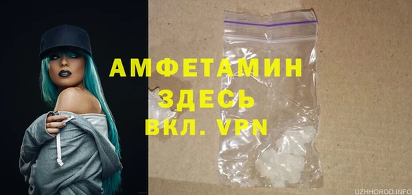 шишки Богданович
