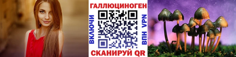 Галлюциногенные грибы мицелий  закладки  Нерехта 